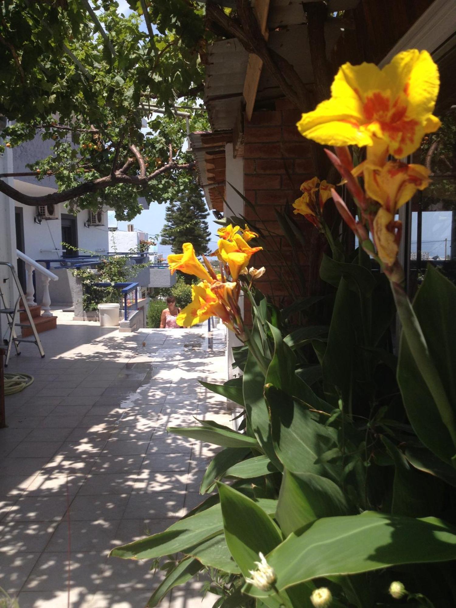 Villa Marina Chersonissos Buitenkant foto