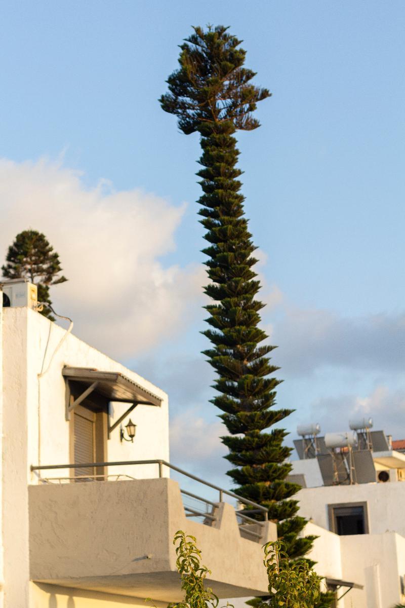 Villa Marina Chersonissos Buitenkant foto